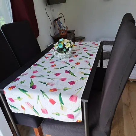 Apartment Misel Apartman House